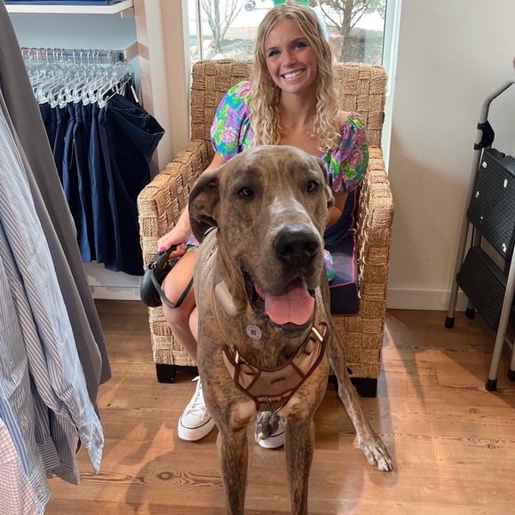 Vibrant Floral Preppy Dress - Picture 4 of 4